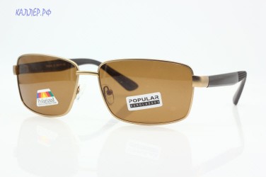 Солнцезащитные очки POPULAR 58095 C2 (Polarized)